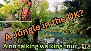 Heligan Jungle Walk | No Talking just walking in 4k