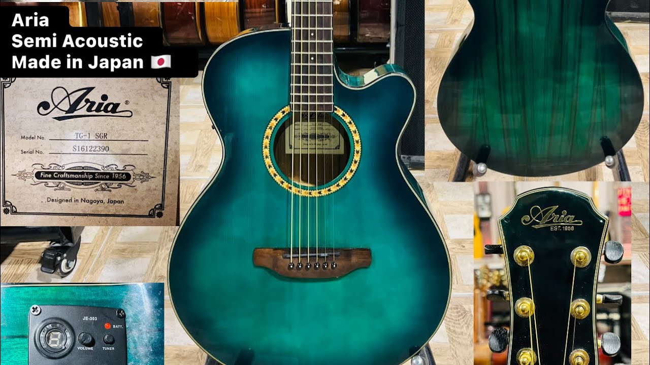 Aria semi acoustic guitar Model no TG-1 SGR ( Wilsons music