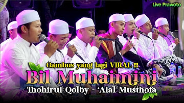 GAMBUS PALING DICARI ‼️BIL MUHAIMINI - THOHIRUL QOLBY - 