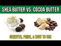 Is Shea Butter or Cocoa Butter Good For You? Do They Help ...