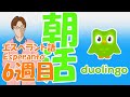 光回線のその後。朝活Duolingo配信 6週目 エスペラント語 英語