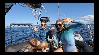 Discovering Dugongs in Vanuatu WHSE128 by Wind Hippie Sailing 171,676 views 6 months ago 24 minutes