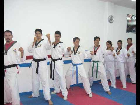 Escuela de Taekwondo Chen Woo Hoi