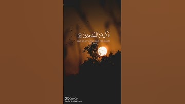 #القارئ #ماهر_المعيقلي #تلاوة_خاشعة #ارح_قلبك #راحة_نفسية #اكسبلور