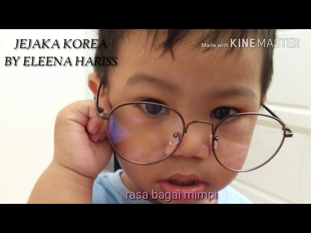 Jejaka Korea By Eleena Hariss with Lyrics class=