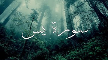 تلاوه عذبه وصوت جميل تُرقق القلوب | القارئ محمود الشيخ