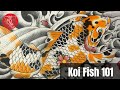 Free 2 hour koi fish drawing course for beginners  step by step tutorial