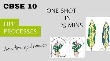 LIFE PROCESSES | CBSE CLASS 10 || ACTIVITIES 6.1 - 6.2 || NUTRITION