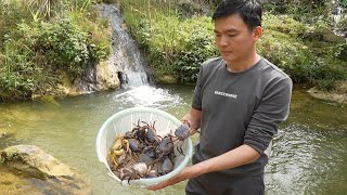Catch crabs to cook and sell pomelos. Robert | Green forest life