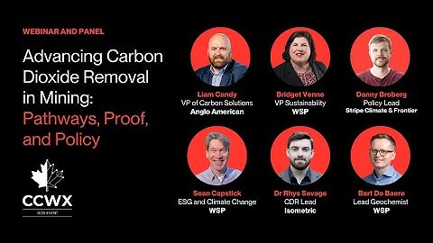 Scaling Carbon Dioxide Removal Through Mining: Insights from Industry Leaders