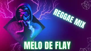 REGGAE REMIX//MELO DE FLAY