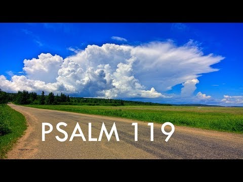 2017 Amazing Bible Verses Psalms 119 Blessed are those whose ways are blameless