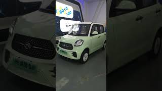 various low-speed electric vehicles, China professional low-speed electric vehicle manufacturers,