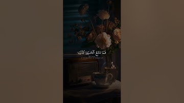 أَرَضِيتُم بِالْحَيَاةِ الدُّنْيَا مِنَ الْآخِرَةِ ۚ - محمد صديق المنشاوي - سورة التوبة