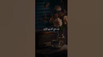 أَرَضِيتُم بِالْحَيَاةِ الدُّنْيَا مِنَ الْآخِرَةِ ۚ - محمد صديق المنشاوي - سورة التوبة