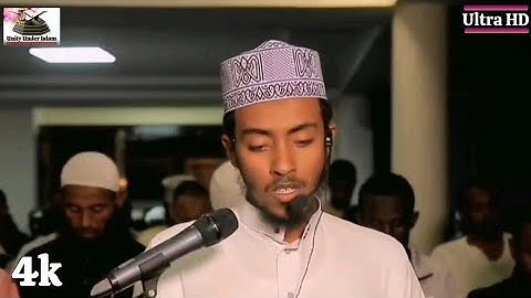 Surat Al Baqarah | Sh. Afif Mohamed Taj [4K ULTRA HD] | سورة البقرة | الشيخ عفيف محمد تاج