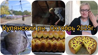 Жизнь в селе/Чистка дымохода/Громадная свекла#королевскаяватрушка#котлеты#пирожкискапустой
