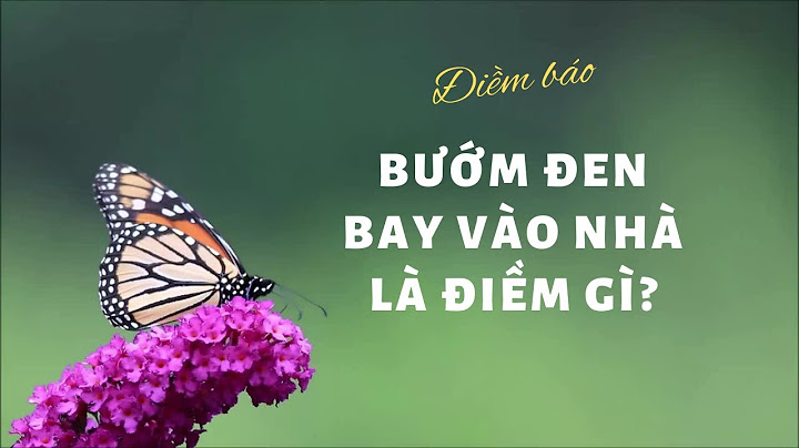 Bướm đen bay vô nhà là điềm gì