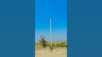 Best Gadgets for Smarter Work Habits #shorts #shortsfeed #youtubeshortsvedeo