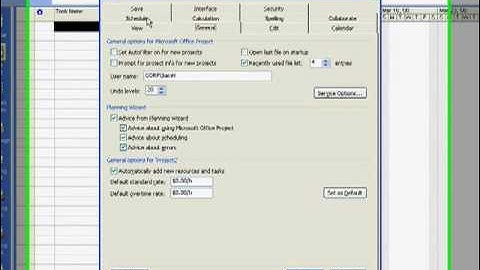 Versatile Company Setting Up a Project in MS Project 2007.mov