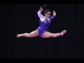 Rise of dipa karmakar  first  only indian olympian gymnast