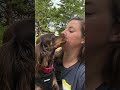 Kerra & Mavis - Puppy Bonding Time
