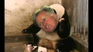 Sneezing Panda Sheen