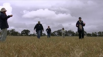 A day in the life of a soil scientist