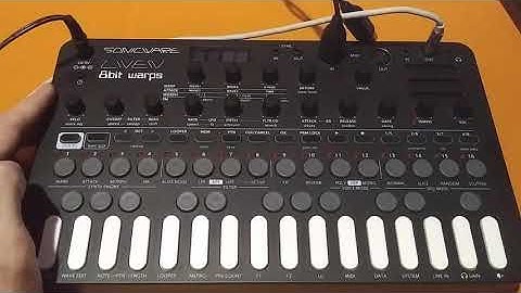 LIVEN 8-bit warps - How To Check Firmware Version