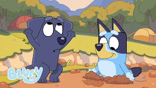 I Like Stinky | Camping | Bluey