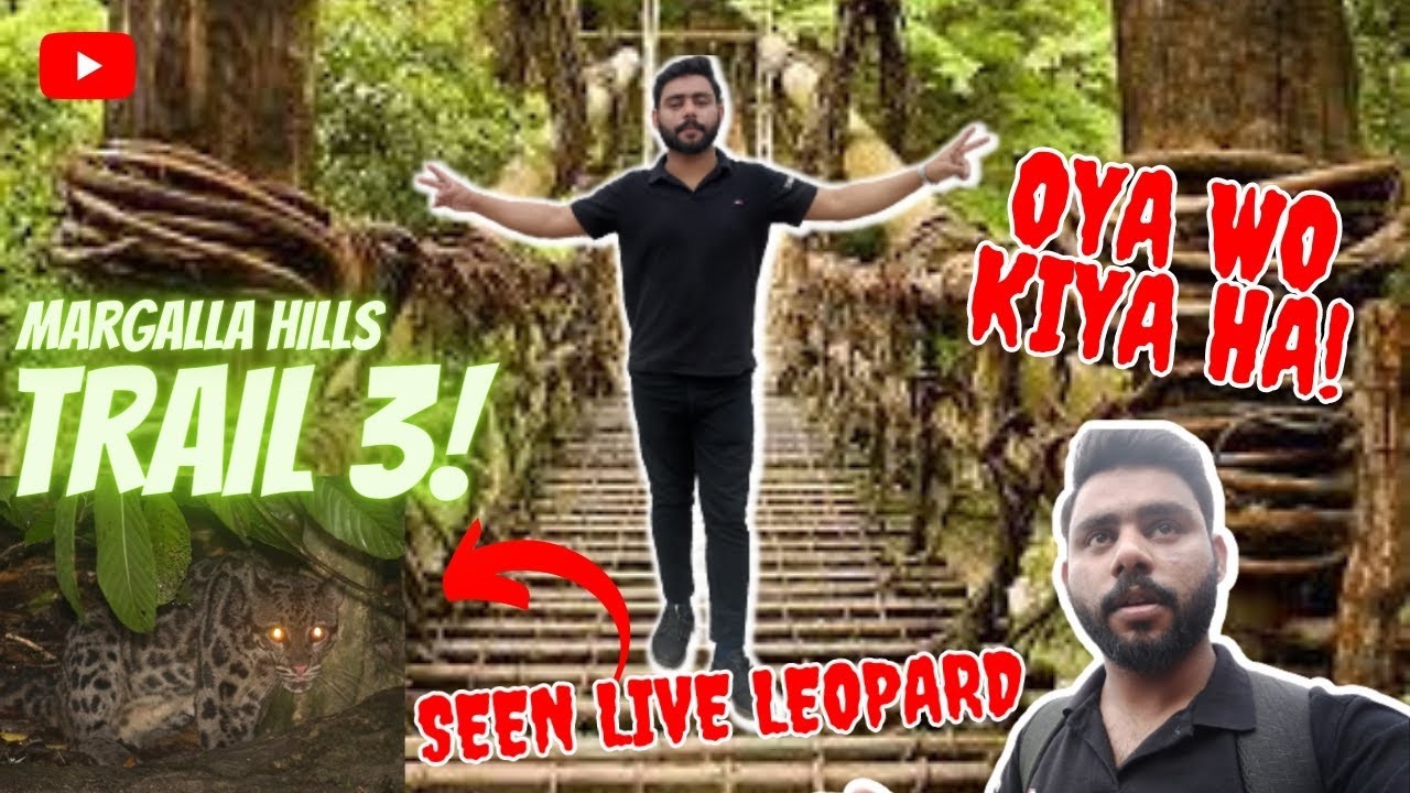 Seen live leopard in trail 3 || Shukar Alhamdulillah Bach gay  #leopard #trail3