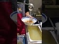 5th May 2024 an amazing Chinese bowl of noodles in Phuket