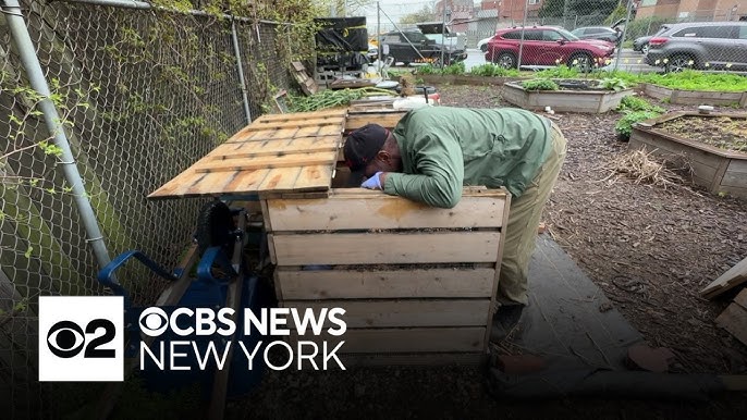 Queens Gardener Hopes To Build A Greener Nyc After Incarceration