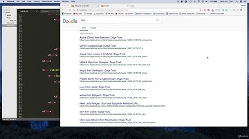 Make a Google search engine clone JavaScript PHP and MySQL : //  Creating the search type tabs