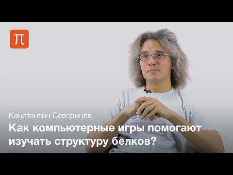 Фолдинг белка - Константин Северинов