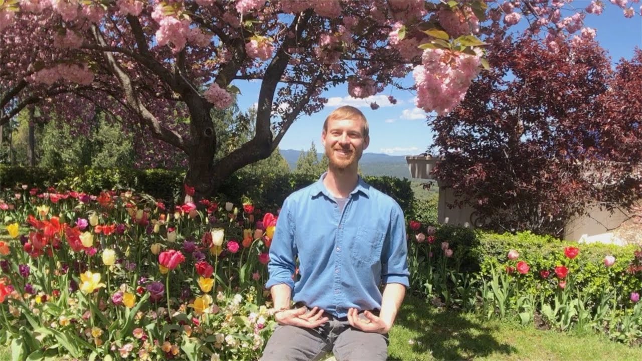 Meditation  under the Kwanzen Cherry Tree with Greg Traymar