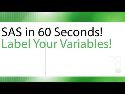 SAS in 60 Seconds! - Label Your Variables!