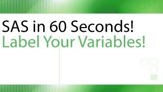 SAS in 60 Seconds! - Label Your Variables!