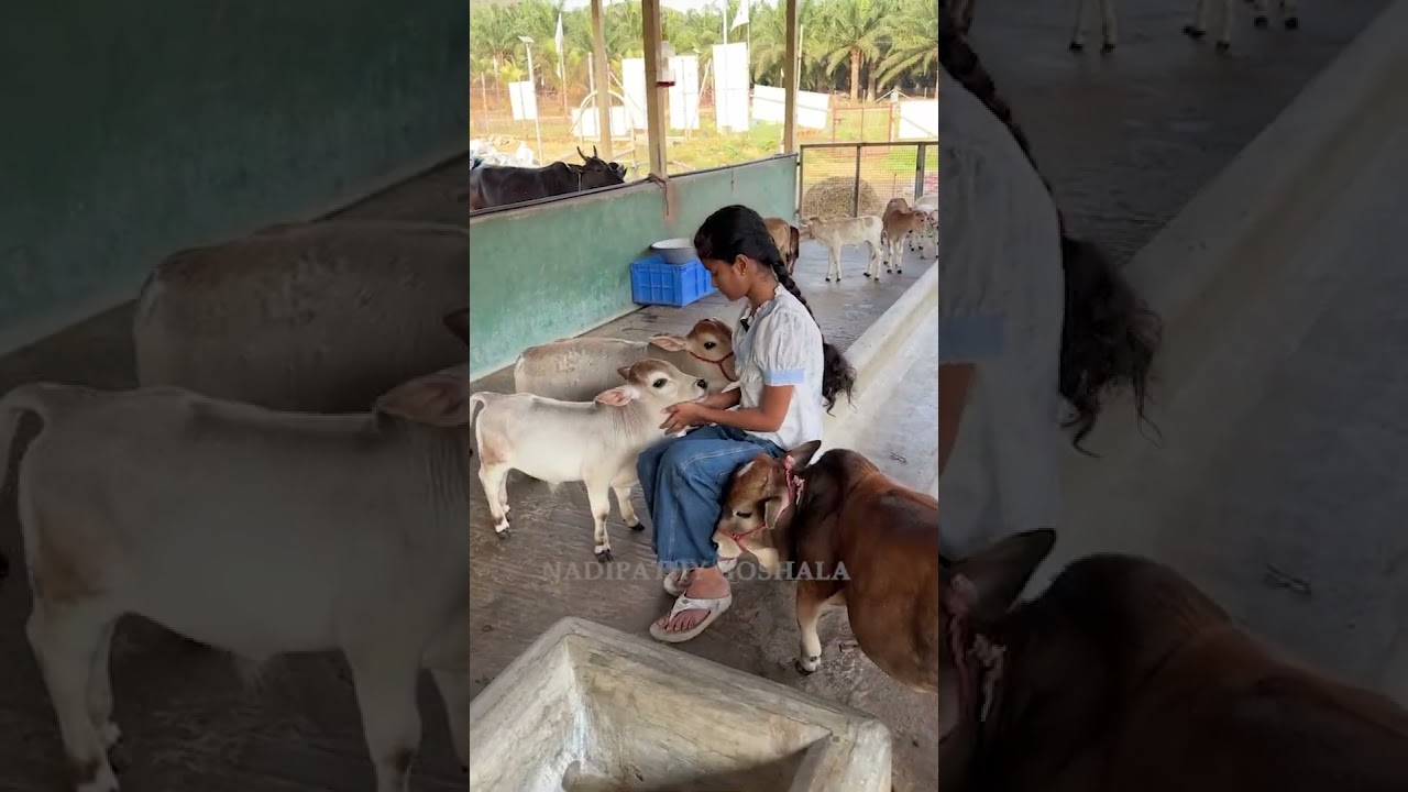 "POV: You found a piece of heaven on Earth. ✨" #viral #shorts #trendingshorts #miniature #reels