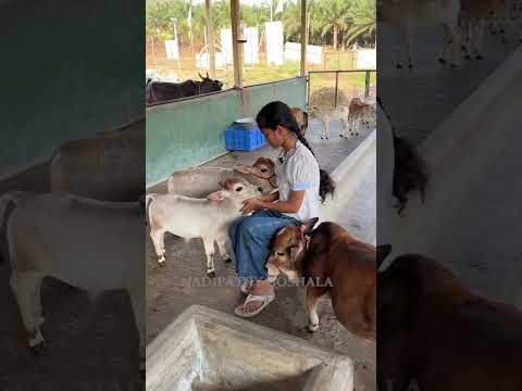 "POV: You found a piece of heaven on Earth. ✨" #viral #shorts #trendingshorts #miniature #reels