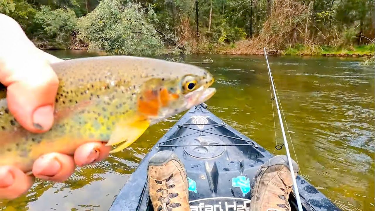 Lure fishing for trout with tips and tutorials 