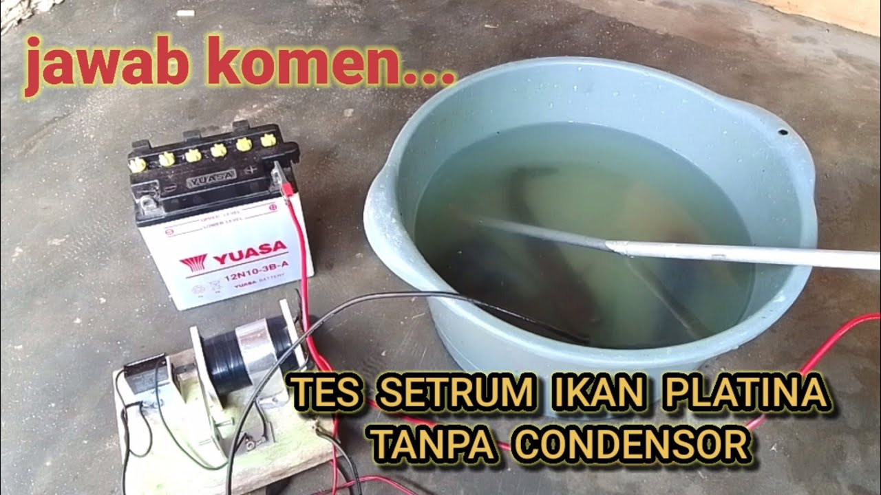 UJI COBA SETRUM IKAN PLATINA 500WAT TANPA CONDENSOR