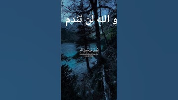 آيات بينات من الذكر الحكيم ❤️ #تلاوة_مؤثرة #اكسبلور