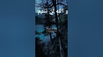 آيات بينات من الذكر الحكيم ❤️ #تلاوة_مؤثرة #اكسبلور