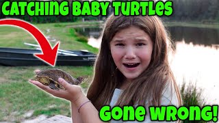 Catching Baby Turtles Gone Wrong!