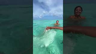 Sting Ray Spitting Water Towards a Swimmer