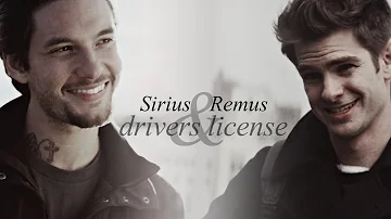 Sirius & Remus | Drivers License (Modern AU)