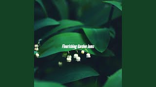 Amazing Moods for Slow Paces