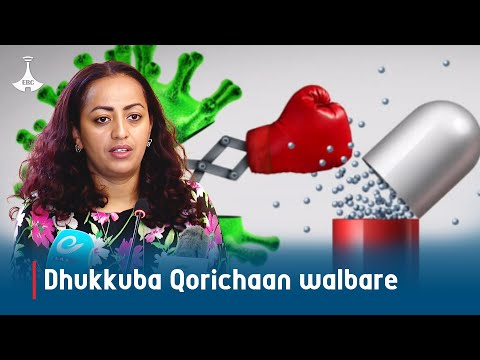 Dhukkuba Qorichaan Walbare Etv Ebc Etv Afaan Oromoo