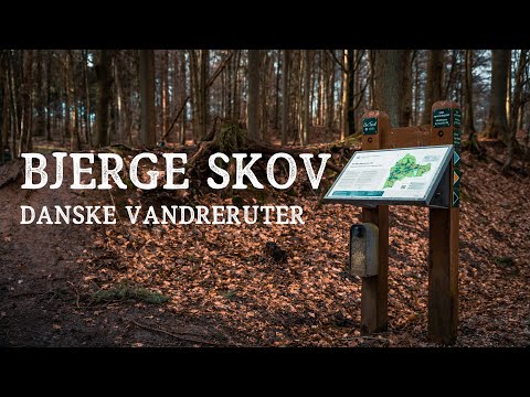 Video: Gå Over Gennemsigtig Is I De Slovakiske Bjerge